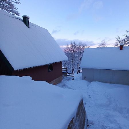 Vila Darija Žabljak Zewnętrze zdjęcie