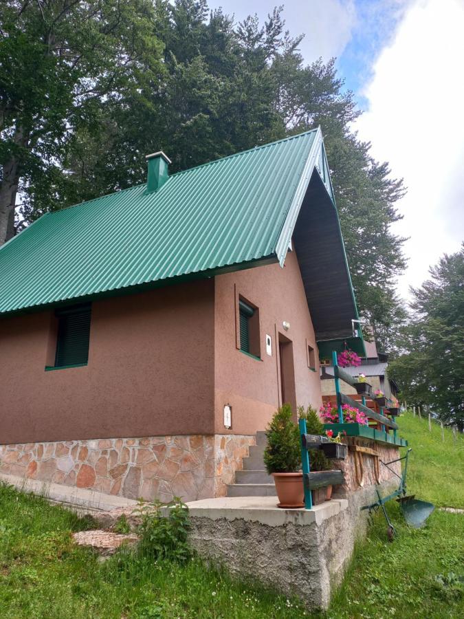 Vila Darija Žabljak Zewnętrze zdjęcie
